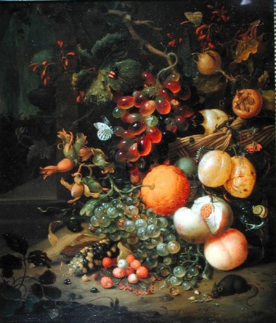 Stillleben mit Früchten, 1704 von Jan Mortel