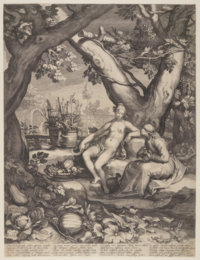 Vertumnus und Pomona von Jan Saenredam