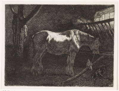 Pferd im Stall von Johannes Martinus Vrolijk
