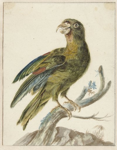 Sittich von Jan Baptist Weenix