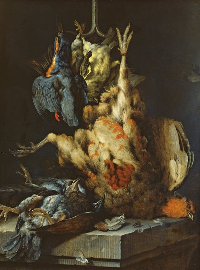 Stillleben von Jan Baptist Weenix