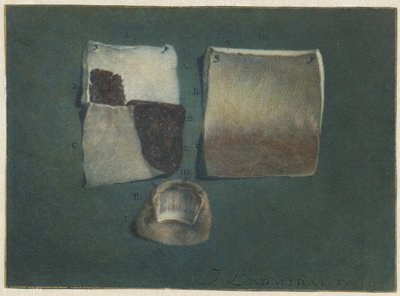 Anatomische Studie von menschlicher Haut und Nagel von Jan l
