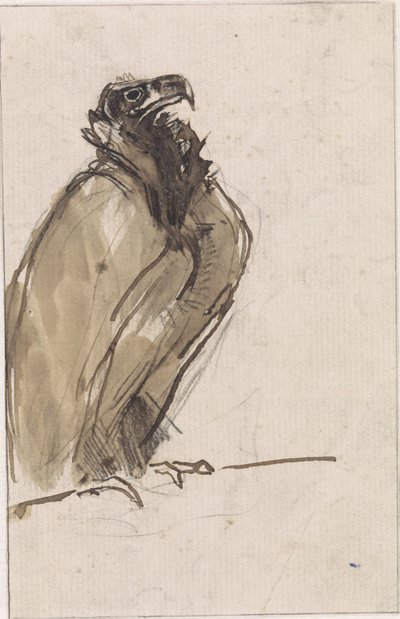 Geier, sitzend auf einem Ast von Jan van Essen