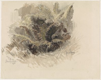 Königsfarn in einem Garten in Scherpenzeel von Jan van Essen
