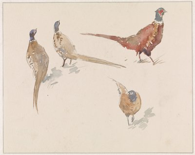 Vier Fasane von Jan van Essen