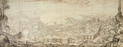 Blick auf Neapel von Jan van Stinemolen