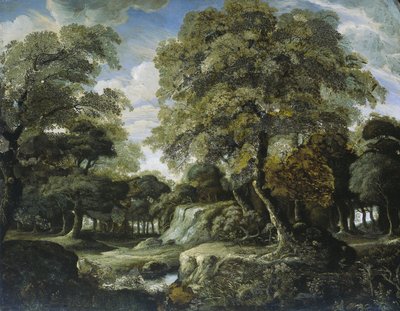 Ansicht im Wald von Jan van der Heyden