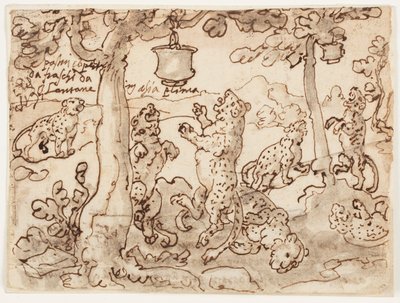 Die Pantherfalle von Jan van der Straet, called Stradanus