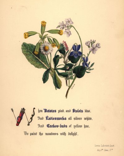Gänseblümchen, Veilchen, Wiesenschaumkraut und Kuckucksblumen von Jane Elizabeth Giraud
