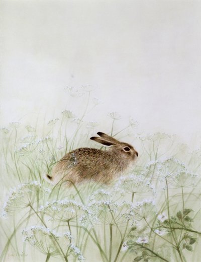 Kaninchen von Jane Neville