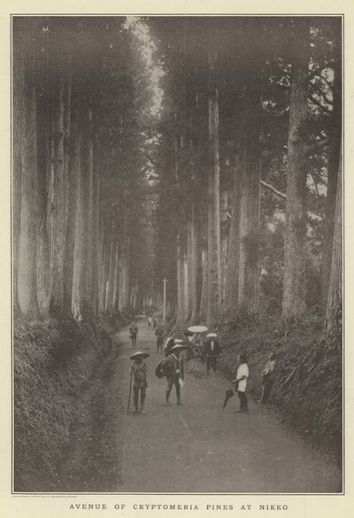 Allee der Kryptomerien in Nikko von Japanese Photographer