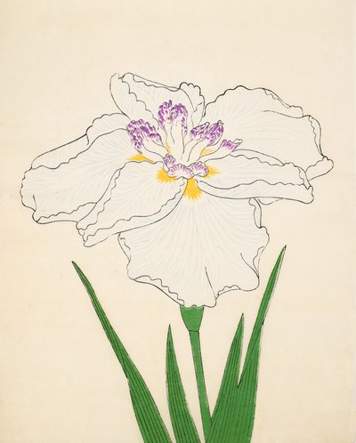 Cho-Hiyen, Nr. 91, 1890 von Japanese School