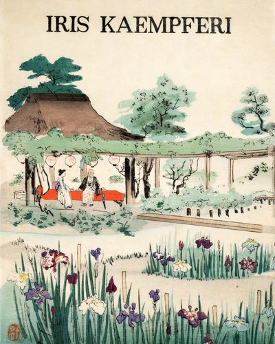 Iris Kaempferi - Vorderseite, 1890 von Japanese School
