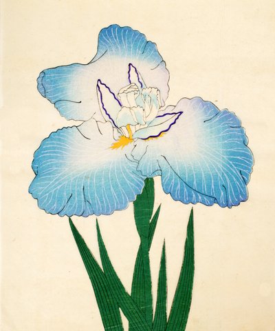 Irojiman, Nr. 80, 1890 von Japanese School