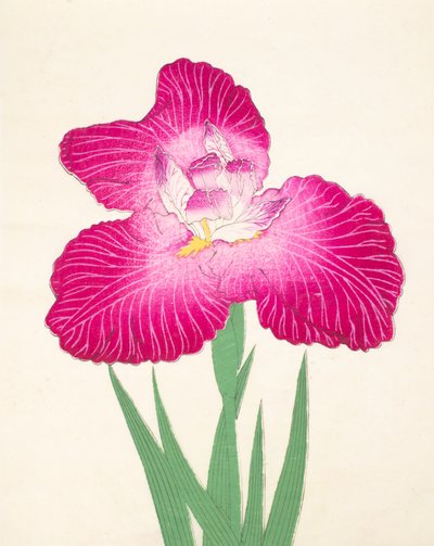 Kyo-Kano.ko, Nr. 24, 1898 von Japanese School