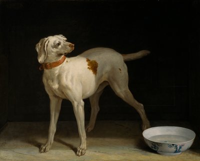 Hund von Jean Baptiste Oudry