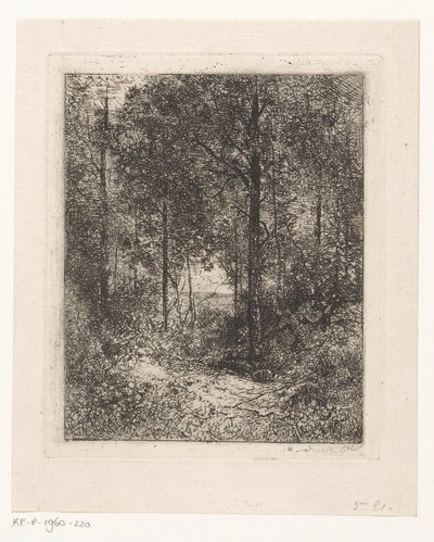 Waldansicht von Jean Alexis Achard