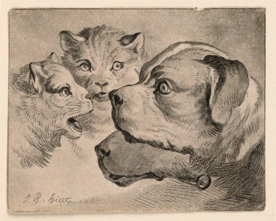 Köpfe von Katzen und Hunden von Jean Baptiste Huet