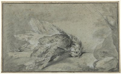 Toter Waldschnepfe (Scolopax rusticola) von Jean Baptiste Oudry