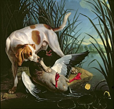 Hund mit einer Wildente von Jean Baptiste Oudry