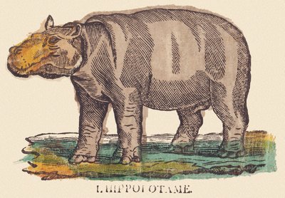 Das Nilpferd von Jean Baptiste Thiebault