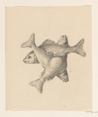 Drei kreuzweise angeordnete Fische von Jean Bernard