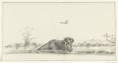 Kuh im Wasser von Jean Bernard