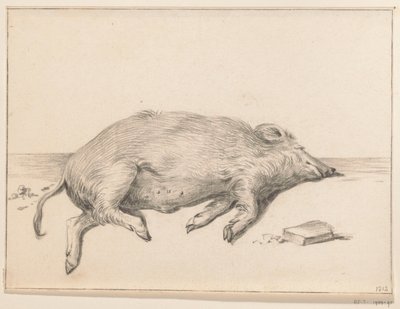 Liegendes Schwein, nach rechts von Jean Bernard