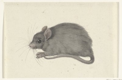Maus, nach links von Jean Bernard