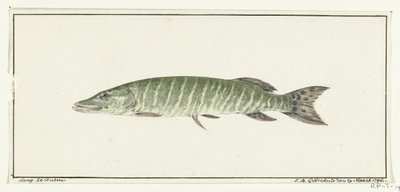 Hecht von Jean Bernard