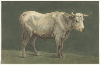 Stehender Stier, nach rechts von Jean Bernard
