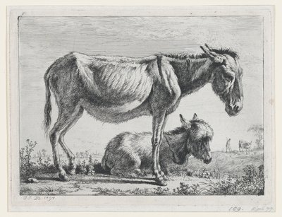 Jenny mit ihrem Fohlen von Jean Jacques de Boissieu