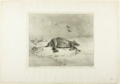 Totes Pferd von Jean Louis André Théodore Géricault