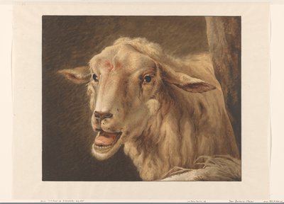 Schafskopf von Jean Zacherie Mazel