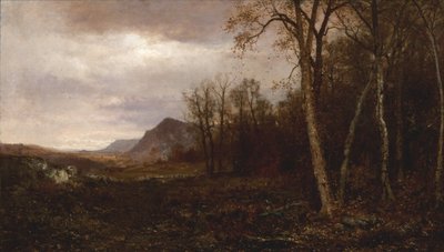 Über die Hügel und weit weg, 1878 von Jervis McEntee