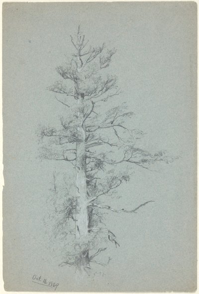 Baumstudie von Jervis McEntee