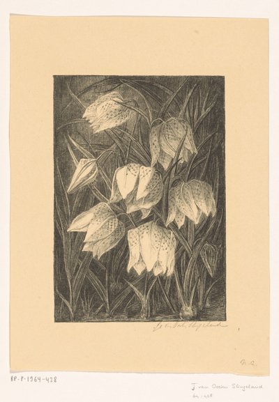 Schachblumen von Jo van Oosten Slingeland (signed by artist)