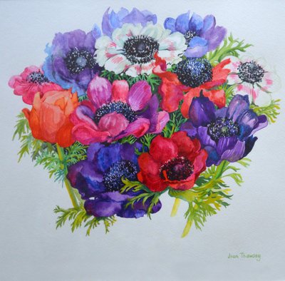 Anemonen: rot, weiß, pink und lila, 2000 von Joan Thewsey