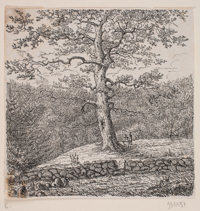 Niels Ebbesens Eiche bei Nørreris von Johan Aagaard