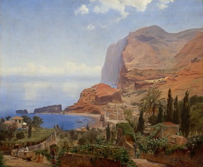 Von Madeira von Johan Fredrik Eckersberg