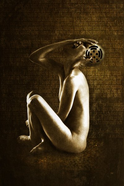 Schrei, 2013 von Johan Lilja