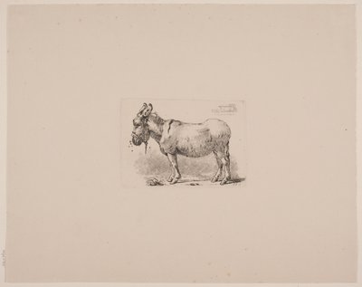 Ein Esel, geplagt von Fliegen von Johan Thomas Lundbye