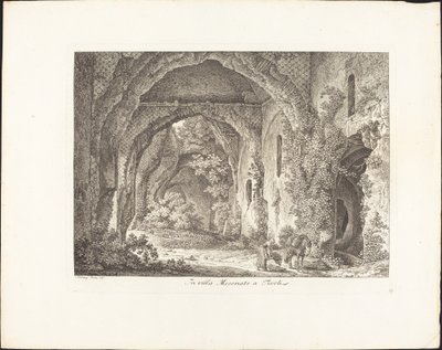 In der Villa Mecenate von Johann Christian Reinhart
