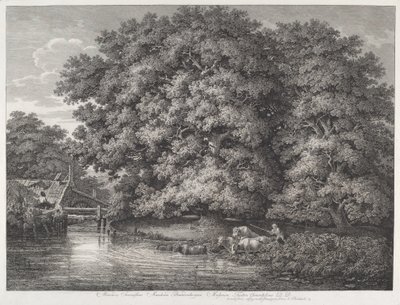 Die Mühle bei den großen Eichen von Johann Christian Reinhart