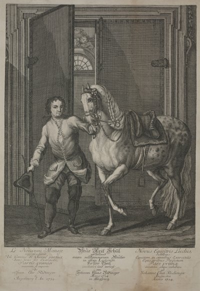 Neue Schule der Reitkunst von Johann Elias Ridinger