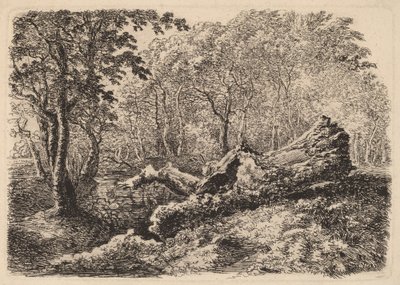 Verfallener Baumstamm von Johann Georg von Dillis