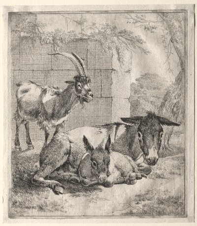 Ziege und Esel von Johann Heinrich Roos