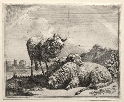 Widder und zwei Schafe von Johann Heinrich Roos