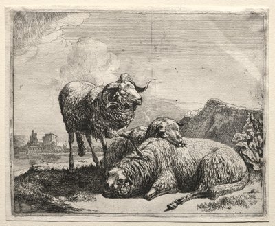 Widder und zwei Schafe, 1665 von Johann Heinrich Roos