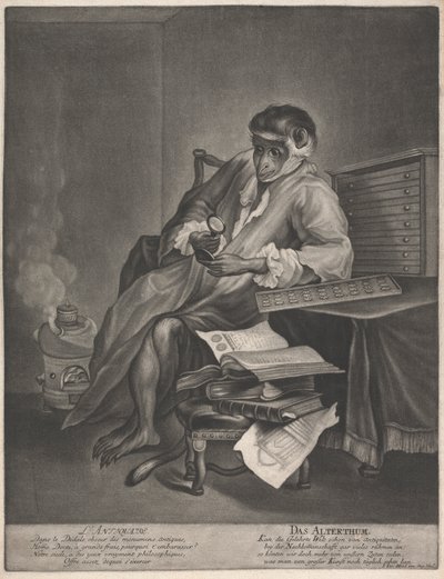 Der Antiquar von Johann Jacobus Haid